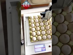 Printer inkjet telur kecil sumbu Xy Printer inkjet telur cerdas sepenuhnya otomatis