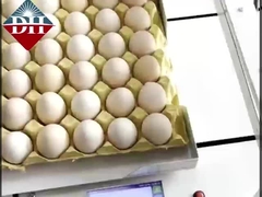 Printer inkjet telur kecil sumbu Xy Printer inkjet telur cerdas sepenuhnya otomatis